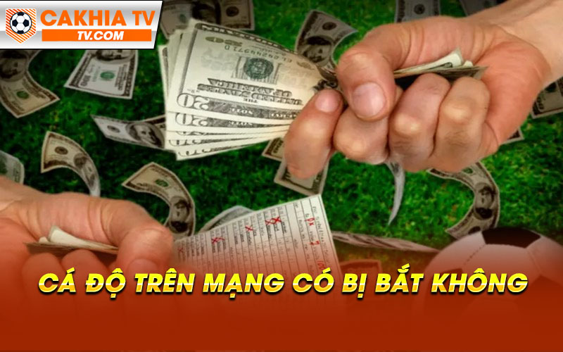 Cá Độ Trên Mạng Có Bị Bắt Không?