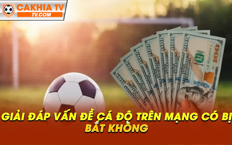 Giai dap van de ca do tren mang co bi bat khong Giải đáp vấn đề cá độ trên mạng có bị bắt không