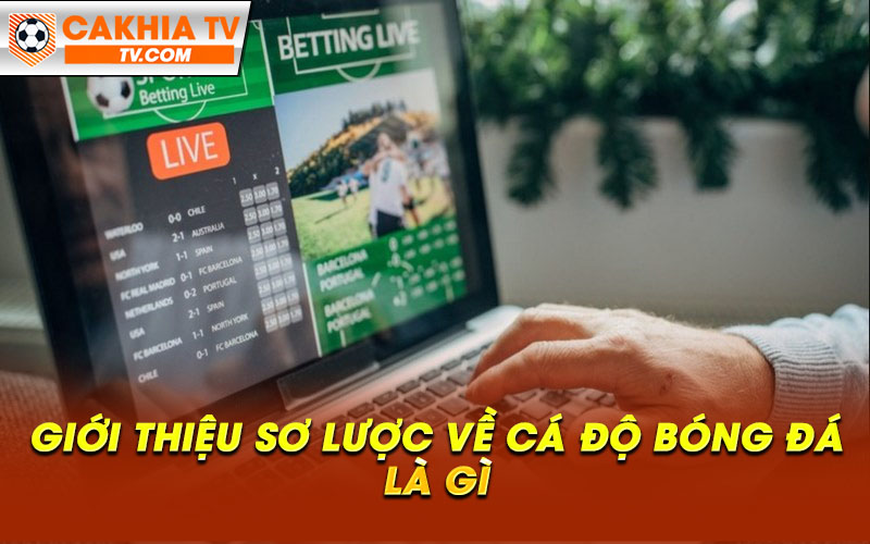 Gioi thieu so luoc ve ca do bong da la gi Giới thiệu sơ lược về cá độ bóng đá là gì