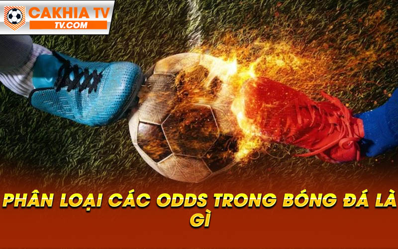 Phan loai cac odds trong bong da la gi Phân loại các odds trong bóng đá là gì