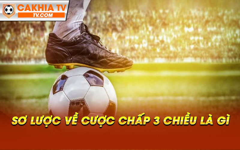 So luoc ve cuoc chap 3 chieu la gi Sơ lược về cược chấp 3 chiều là gì