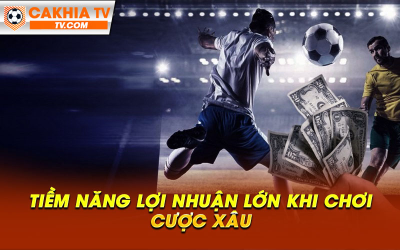 Tiem nang loi nhuan lon khi choi cuoc xau Tiềm năng lợi nhuận lớn khi chơi cược xâu
