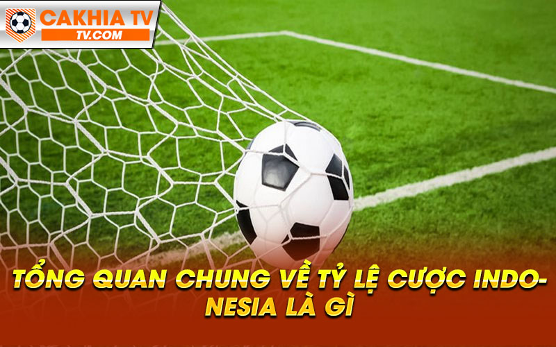 Tong quan chung ve ty le cuoc Indonesia la gi Tổng quan chung về tỷ lệ cược Indonesia là gì