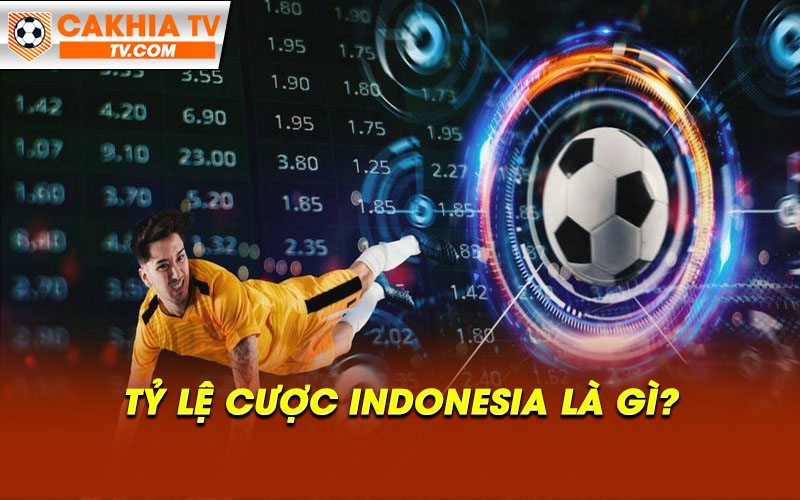 Tỷ lệ cược Indonesia là gì