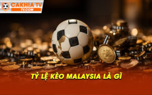 Ty le keo malaysia la gi Tỷ lệ kèo malaysia là gì