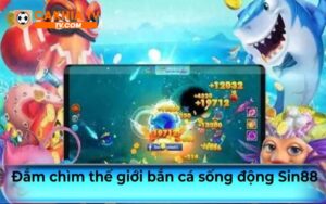Tại sao nên chọn bắn cá Sin88?
